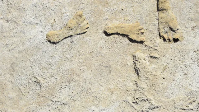 Three fossilised human footprints, raised in pale gypsum, crossing a dry lakebed surface